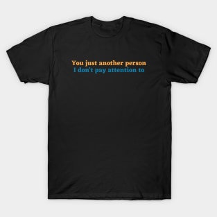 You just another person I don't pay attention to T-Shirt